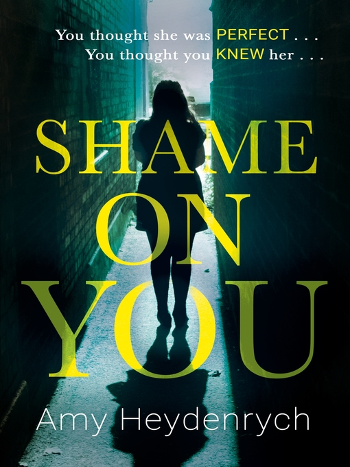 Cover image for Shame on You